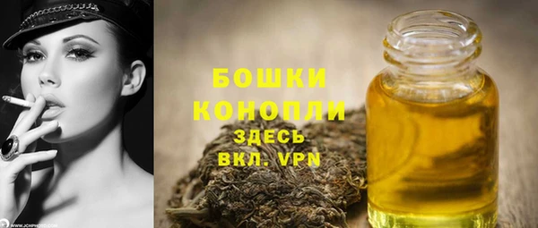 шишки Алексеевка