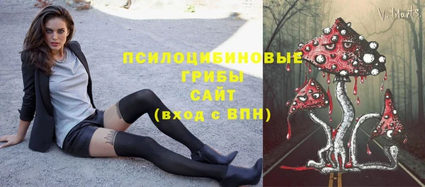 шишки Алексеевка