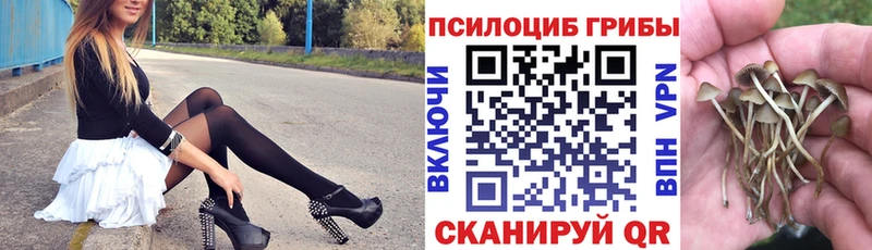 как найти   Добрянка  Галлюциногенные грибы мицелий 